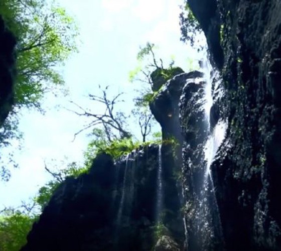 青山綠水，白龍江畔江畔息白鷺，兩岸綠橄欖入眼的都是純樸自然枝上花開(kāi)，春來(lái)水暖魚(yú)蝦戲水，鳥(niǎo)語(yǔ)花香心中充滿(mǎn)著舒暢之感祥宇生態(tài)產(chǎn)業(yè)園，位于隴南市武..